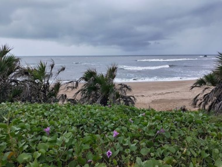 Jallandhar Beach-5
